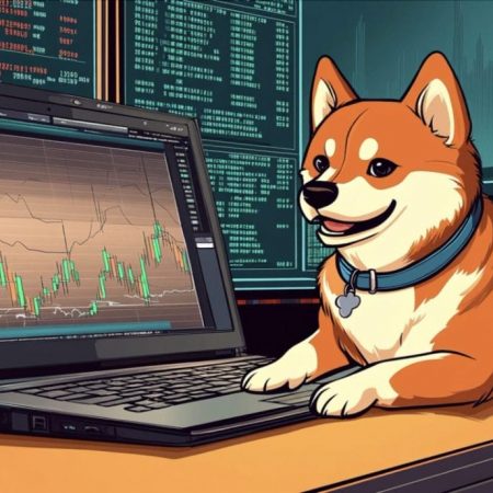 Dogecoin Surges 45% as Bitcoin Hits New ATH Amid Post-Election Optimism