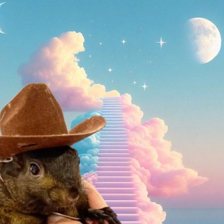 Is Peanut The Squirrel Done? PNUT Price Down 50% From ATH