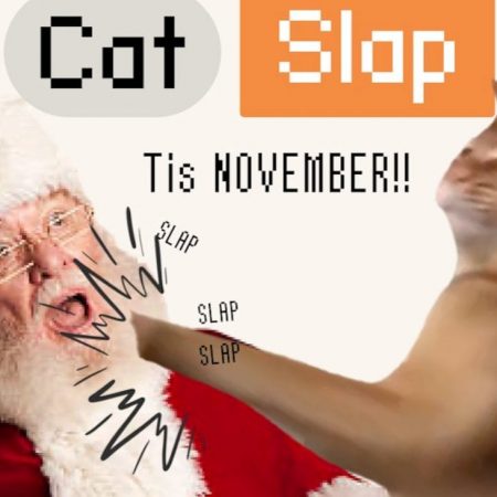 Popcat Price Drops 20%, Trending Meme Coin Catslap (SLAP) Climbs 22.3% in 24 Hours – Binance, Robinhood Listings Soon?