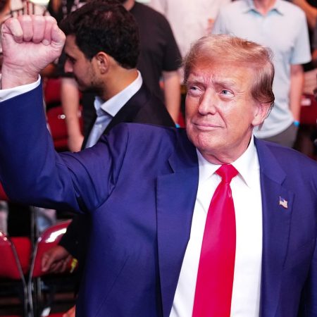 President-elect Donald Trump receives raucous ovation after arriving at UFC 309 in New York