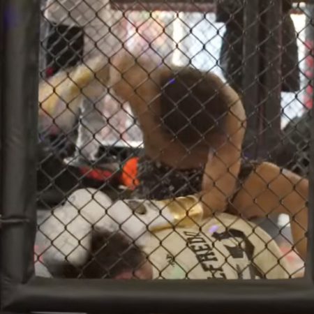 Watch Raul Rosas Jr. beat up, choke out YouTuber in prank gone wrong