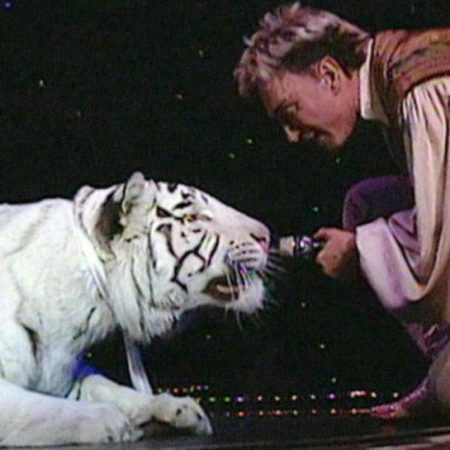 VEGAS MYTHS RE-BUSTED: Tiger Attack Wasn’t Siegfried & Roy’s Fault