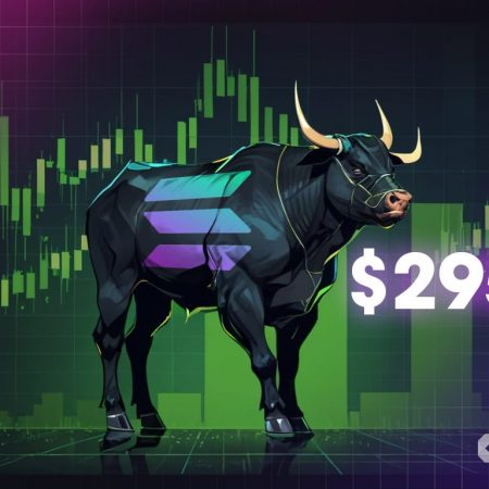 Solana Poised for $295 Surge After Correction – Are the Bulls Ready to Take Control?