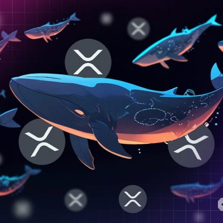 XRP Eyes All-Time High as Whales Move $95M – Could $5.85 Be Next?