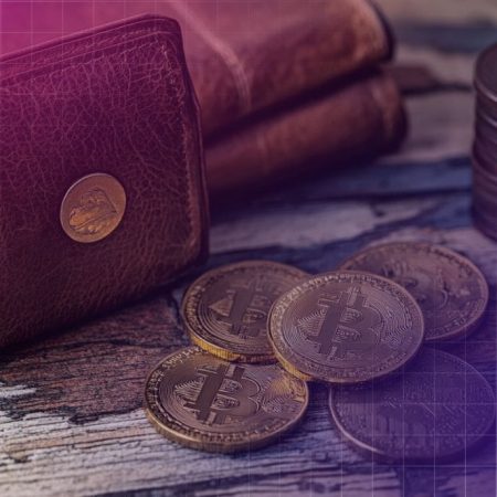 Small Bitcoin Wallets Set to Surge 9% as Investors Keep Stacking Beyond $100K Milestone