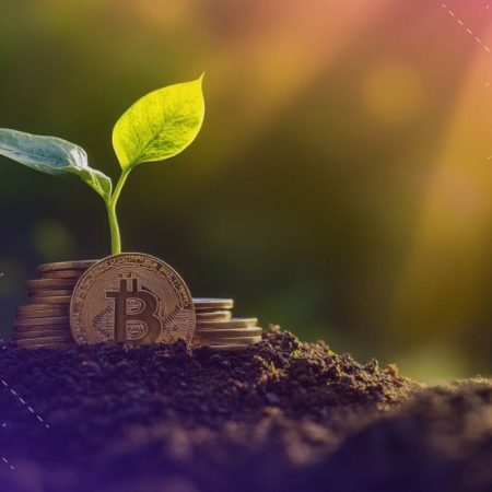 BitDCA Secures $2M to Launch Bitcoin Savings App ‘Littlebit’