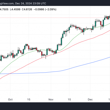 Sui (SUI) Price Analysis – Break Above $5.0 Imminent as On-chain Activity Booms