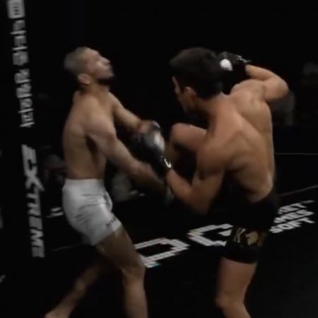 Missed Fists: Brutal head kick knockouts cap off 2024 regional MMA, plus Fight Circus!