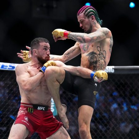 UFC 316 poster released featuring pair of title fight grudge matches