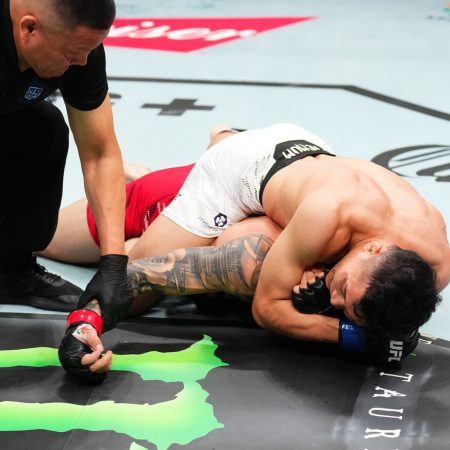 Watch Quang Le put Gaston Bolanos to sleep at UFC Des Moines